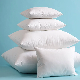  Home Textile Bed Pillow Insert Bedding White Cushion Down Feather Pillow Hotel White Neck Pillow