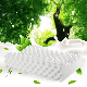  Good Price Big Size Natural Latex Neck Supporting Pillows Hypoallergenic Firm Latex Pillow for Bed Sleeping