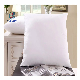  Sham Square Hypoallergenic Pillow Insert Polyester Cushion Insert