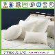 Cheap Wholesale Duck Feather Pillow Insert