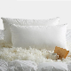  Fire Retardant Duck / Goose Feather Firm Pillow Insert