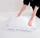 Oeko-Tex100 Fire Flame Retardant Hotel Duck Feather Neck Pillow Insert