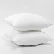 Amazon Most Popular Luxury Linens Hotel Stripes Pillows
