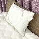  OEM Plain Exquisite Appearance 100% Polyester Airmesh Jacqua Shredded Latex Pillow