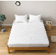 100% Cotton Double Knitted Comfortable Hot-Selling Water-Proof Spread