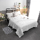  White Microfiber Summer Quilt Comforter in Hypoallergenic and Skin-Friendly Fabric Is Soothing for Allergic People