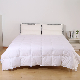  Wholesale Customized Size Spring Summer Microfiber Down Quilt Duvet