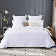  Summer Duvet for Cold and Warm Nights Various Sizes Comforters Quilts