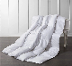  Manufacturer Supply Bamboo Viscose Comforter, All Season Polyester Comforter Insert, Down Alternative Bedding Comforter, Customized Design Microfiber Comforter