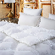 Oeko-Tex100 Certificated 5 Stars Hotel Luxury Duck Down Bed Duvet Insert