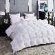  Manufacturer Supply Wholesale 100% Combed Cotton Shell 2-4cm White Duck Feather Filled All Season Home Bed Quilt Insert