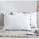  Manufacurer Wholesale Organic Cotton Shell 30% RDS White Duck Down 70% Feather 2