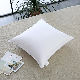  Oeko-Tex100 Certificated China Manufacturer Wholesale RDS White Goose / Duck Feather 20