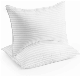 Luxury Polyester Dust Mite Resistant and Hypoallergenic Gel Pillow