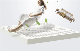 Home OEM/ODM Customized Size/Covers High Quality Latex Mattress