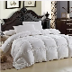  The Latest Hot Sale 90GSM Microfiber Filling 200GSM Polyesterand Good Quality Chemical Fiber Quilt