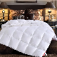  European and American Chemical Fiber Cotton Winter Quilt Spring and Autumn Quilt Geometric Stripes