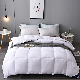 Hot Sale Washable Chemical Fiber Quilt Breathable and Good Quality Microfiberquilt with 233t 100%Cotton Down Proof manufacturer