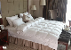 White Winter Goose Down Feather with Box Stitched Quilt