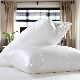  Factory Wholesale Price Discount Applies to Family/Hotel/School Polyester/Cotton Pillow