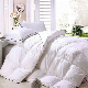  Hotel Bedding Feather Velvet Chemical Fiber Quilt Core