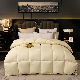  Four Seasons Hotel Bedding Supplier Soft Duck 5% Down Filling Comforter Quilt