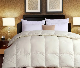 Good Quality Soft and Comfortable Down Quilt with Cotton Fabric