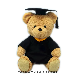  Factory Wholesale Custom CE Certificated Plush Toys Graduation Teddy Bear