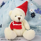  Stuffed Christmas Cute Teddy Bear Toy
