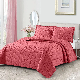 Wholesale Lightweight Quilt Set Bedspread Coverlets 3PCS Velvet Bedspread Bedding Set