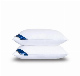  OEM Service 100% Cotton Goose Down Pillow From China Anhui