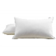 OEM Service 100% Cotton Down Pillow Custom Made From China Anhui