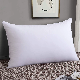  Luxury Egytian Cotton Pillow High Quality White Goose Down Pillow for Wholesale