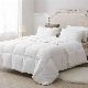  Duvet, Wholesale Polyester Quilt Inner, Microfiber Duvet Insert, Comforter Home Hotel White
