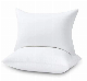  10% Goose Down Pillow White for Home