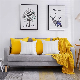  Fluffy Throw Pillow Inserts Down Alternative Cotton Fabric Cushion