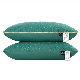  Exquisite Life Home Luxury Hotel Use Custom Size Pillow