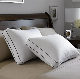 5 Star Hotel Premium Quality 50*70cm Goose Duck Down Feather Pillow