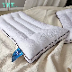 Luxury Hotel Great Silk Material Cheap White Pillow