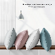  100% Cotton Chinese Luxury Custom Lengthened Size Pure Feather Down Pillow