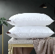  Machine Washable Direct Travesseiros Down Feather Pillows Super Soft Goose Feather Pillow Cheap Wholesale Pillows