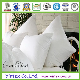  Hot-Selling Economic Feather Pillow
