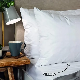  Wholesale Top Grade Premium Down Feather Pillow Cushion