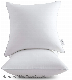  Spring Green Throw and Teddy Faux Fur Throw Pillow Feather Pillow with Covers