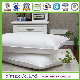 300tc 100% Cotton Fabric Duck Feather Pillow