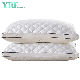  Superfine Feather Fiber 5 Star Hotel Soft 100% Cotton Never Deform Hotel Hilton Pillows