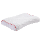  Custom Bamboo Fiber Pillow, Memory Foam Bamboo Pillow, Bambo Pillows