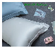 Custom Luxury Pillow Case 100% Mulberry Silk Pillowcase Low MOQ