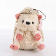  Quality Assurance Polychromatic Hedgehog Plush Toy Mini Plush Toys Hedgehog