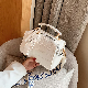  Fashion Bag High-End Wide Shoulder Strap Portable Crossbody Bag Pillow Bag